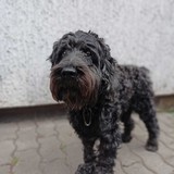 Obrázek WhatsApp, 2023-09-14 v 17.27.51