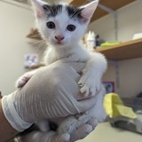 PXL_20230831_153231458