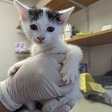 PXL_20230831_153233168