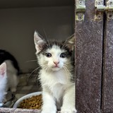 PXL_20230831_153151189