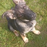 Obrázek WhatsApp, 2023-09-30 v 12.52.22