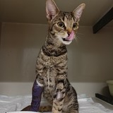 IMG20230929195435_01