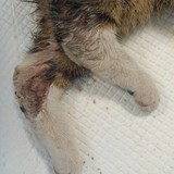 386738795_702702698558074_3547086991264479102_n