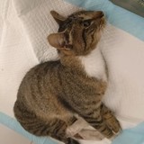 386992692_702702701891407_8839928128774747134_n