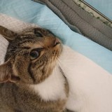 387110913_702702695224741_6942175330239503343_n