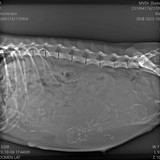 386064652_286317024247902_2686237736162919914_n