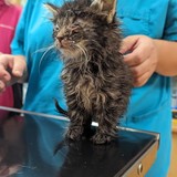 PXL_20231013_145519576~2