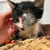 IMG-20231016-WA0042~2