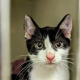 PXL_20231006_184525240.MP~2