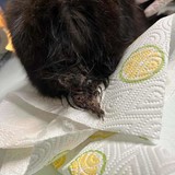 395543062_707878624698401_665051263351290103_n