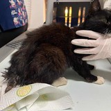 395615405_346700364481852_237703331992658494_n