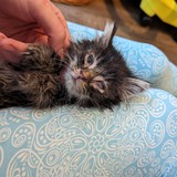 PXL_20231021_124222883