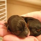 4. holčička 22.41 180g