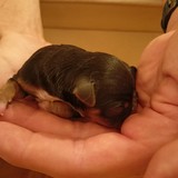 2. chlapeček 21.29 192g