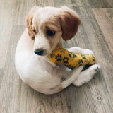 368513391_676889571083439_5931430376876195576_n