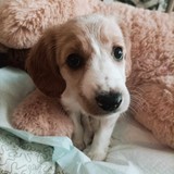 371081983_1372519413691960_6434211612397294414_n