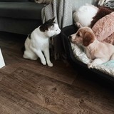 371118211_1078655066384004_7609852002062567956_n