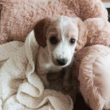 385510437_1070814337267149_1139203853747662435_n