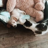 385530703_1511064986131514_4616197433285260042_n