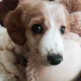 398226242_640526251486012_5944711480172251194_n