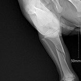 400216272_324001000260089_3993953675620282911_n