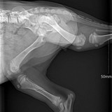 370207225_2579619672200032_7623380781044577365_n