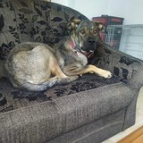 387751586_705389138289430_938271147397684263_n