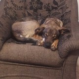 398771926_10219587425955491_5769339637351758042_n