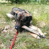 387736640_705389134956097_3376621519690280792_n