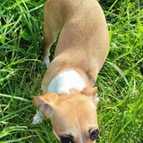 400446127_719621186320374_693983304605032475_n