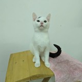 399410827_721541603340850_5784554946300271628_n