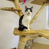 399630478_721541600007517_776670689485889879_n