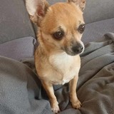 394002597_640484948287227_5730268376877801010_n