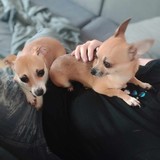 400121116_907267500818046_4577382910628623430_n