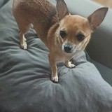 400220226_1007186500542975_8466136180913075395_n