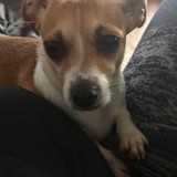 363510914_334905459161797_7071815867576963066_n