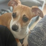 367983838_353588133876462_4364104372324150423_n