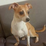 370206867_991120995293660_4049754613592505385_n