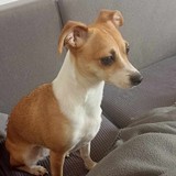 375021559_1923128334751082_3984245991541289342_n