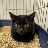 PXL_20231108_074749101