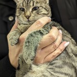 PXL_20231104_141833184~2