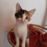 IMG20231210124939 (1)