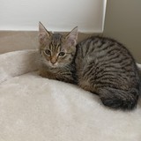 IMG20231210132100 (1)