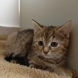 IMG20231210130652 (1)