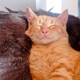 IMG-20231216-WA0041~2