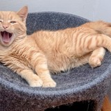 IMG-20231216-WA0040~2