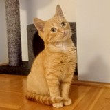 IMG-20231216-WA0044~2