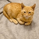 IMG-20231216-WA0042~2