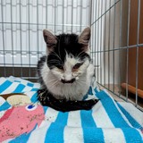 PXL_20240106_191523981.MP~2