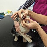 PXL_20240108_074220256